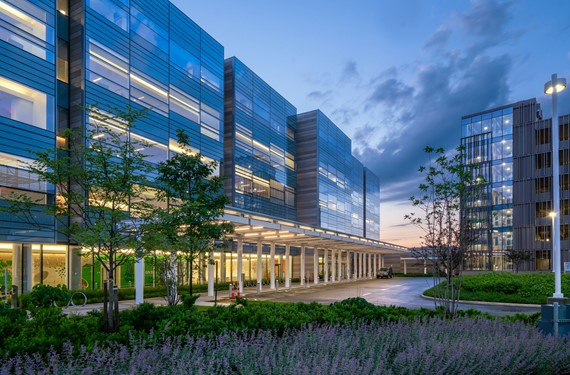 Photo Courtesy of Andersen Curtainwall